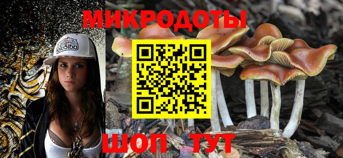 Галлюциногенные грибы Cubensis Канск